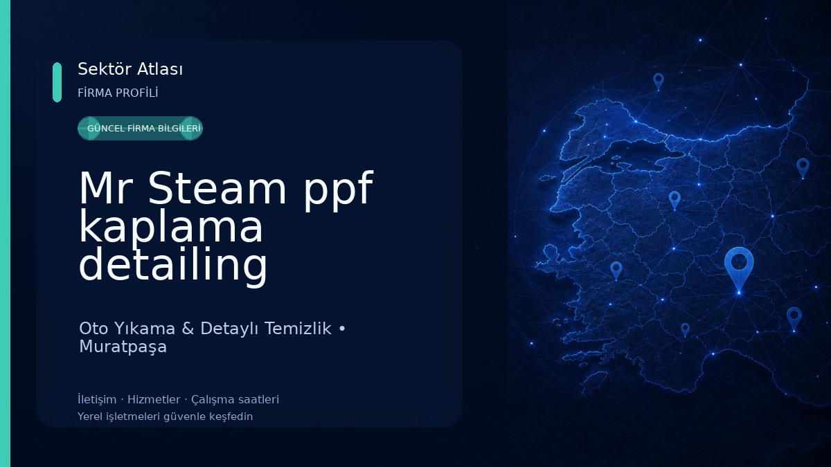 Mr Steam ppf kaplama detailing seramik kaplama 